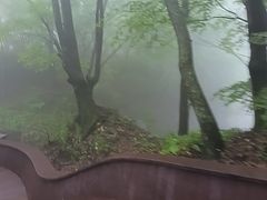 -五女山景区