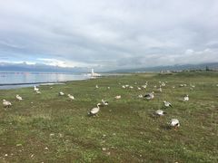 -青海湖国家重点风景名胜区