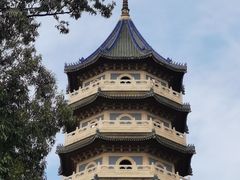 -灵谷景区