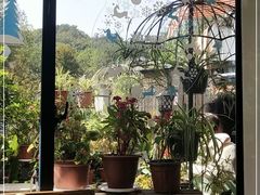 -兰桂坊·花园餐厅(西湖店)