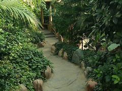 -东方华地城湿地温泉度假区