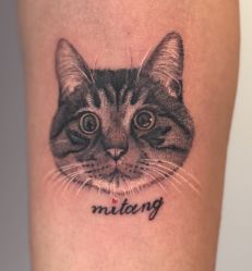 -腾龙刺青纹身TATTOO