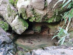 -苏州上方山国家森林公园