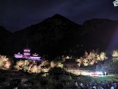 -禅宗少林·音乐大典