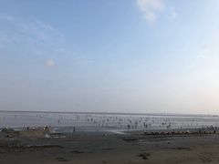 -南汇嘴观海公园