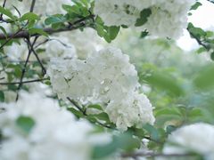 -堤角公园