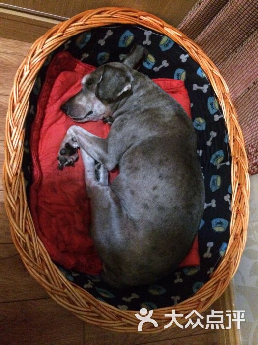 海派健身(龙湖·时代天街店)图片 - 第2张