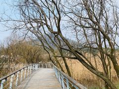 -西湖风景区-江洋畈生态公园