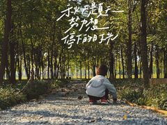 -汉长安城未央宫国家考古遗址公园