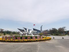 -盐城丹顶鹤湿地生态旅游区