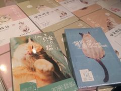 -猫咪博物馆(顶澳仔猫街店)