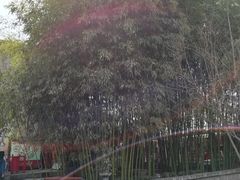 -西安青龙寺遗址景区