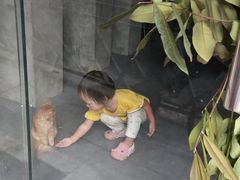 -小洲村