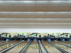 球道-广州保龄球馆(广州天河体育中心店)