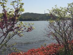 -宁波九龙湖开元度假村