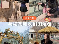 -水上乐园·欢乐世界