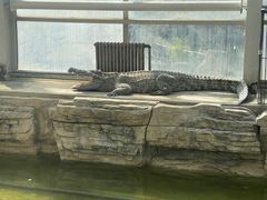 -石家庄市动物园