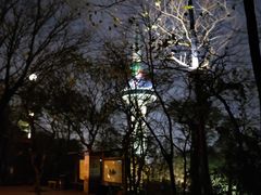 -长沙富力万达文华酒店