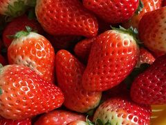 -西郊国际农产品交易中心