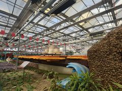 -兰陵国家农业公园