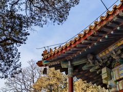 -潭柘寺景区