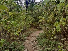 -阳台山自然风景区