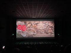 -SFC上影百联影城(八佰伴IMAX店)