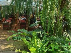 -Fern Forest Cafe