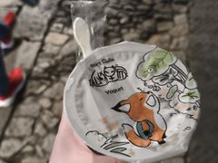 -狐狸家·酸奶酪专门店(平江路店)