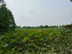 -云龙湖旅游景区