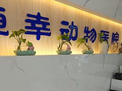 -恒幸动物医院·急重症转诊中心·神经内外科·CT核磁