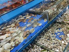-港畔赶海蒸汽海鲜烧烤自助(仙螺岛店)