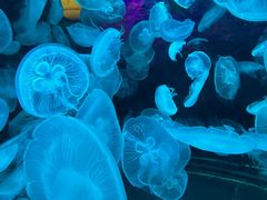 -南昌融创海世界