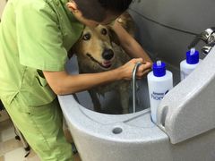-芭比堂动物医院·犬猫全科·异宠专科(雁塔分院)