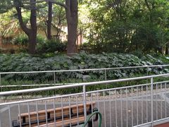 -华山儿童公园