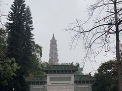 -顺峰山公园