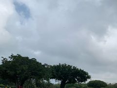 -万绿园