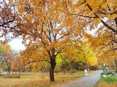 -国家植物园南园