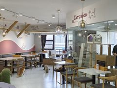 -喵园·猫主题咖啡厅·撸猫·猫咖(国贸店)