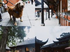 -成都市文殊院