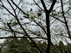 -白塘生态植物园