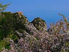 -泰山风景名胜区