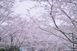 -汉仪华裳汉服馆(打浦桥店)