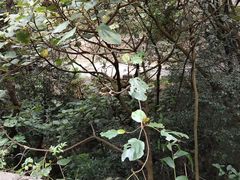 -飞霞风景名胜区