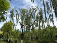 -南翠屏公园