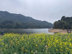 -广州市石门国家森林公园