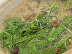 -土连锅·现熬养生汤锅(梁家巷店)