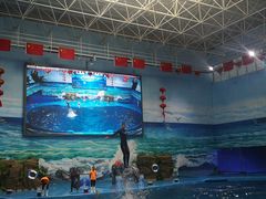 -多彩贵州城极地海洋世界