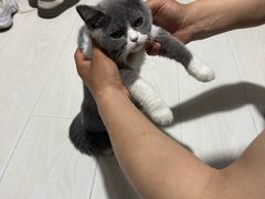 -德元·美联众合24小时动物医院(总院)