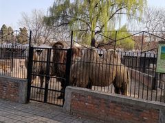 -保定市动物园